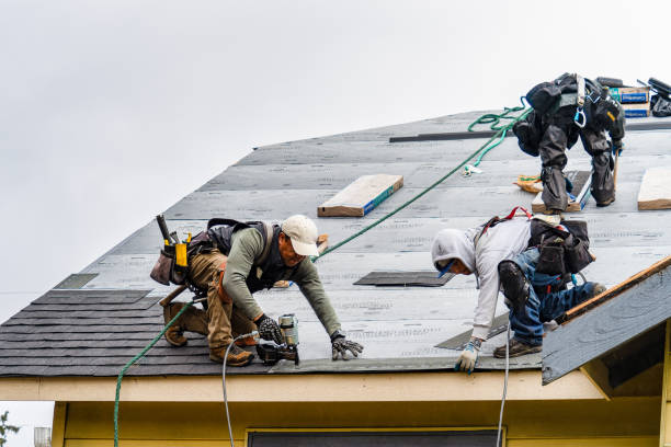 Professional Roofing technician working in Fleetwood, NC